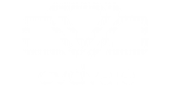 LOGO CDVALE_branco